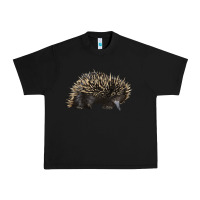 Black short beaked echidna Urban Heavy Tee - LillyAllenDesigns