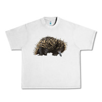 Lunar Rock short beaked echidna Urban Heavy Tee - LillyAllenDesigns