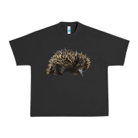 Pigment Black short beaked echidna Urban Heavy Tee - LillyAllenDesigns
