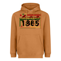 Meerkat Juneteenth 1865 Heavyweight Hoodie - FaDigitalArtStudio