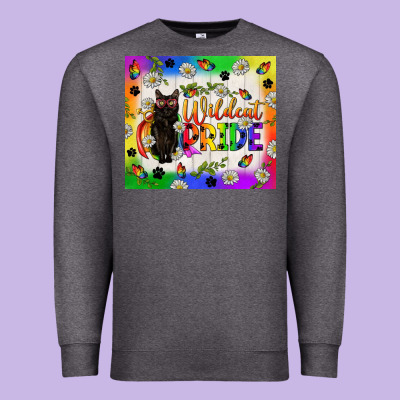 Wildcat Pride Lgbtq Tumbler Premium Sweatshirt Designed By Bundleandbundleshop