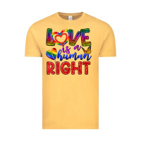 Vintage Mustard Love İs a Human Right Vintage Tee - BundleAndBundleShop