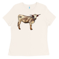 Bone Texas Longhorn Heifer Ladies Tee - LillyAllenDesigns