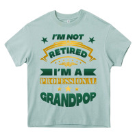 Arona i'm not retired i'm a professional grandpop Heavy Core Tee - Jasminsmagicworld