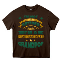 Chocolate Brown i'm not retired i'm a professional grandpop Heavy Core Tee - Jasminsmagicworld