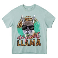 Arona western no prob llama Heavy Core Tee - LillyAllenDesigns