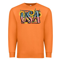 Usa 4th Of July Premium Sweatshirt | Teevron