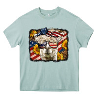 Arona 4th of july llama Heavy Core Tee - LillyAllenDesigns
