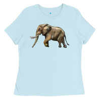 Baby Blue Elephant Ladies Tee - LillyAllenDesigns