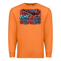Carrot America america america america 4th of july Premium Sweatshirt - FaDigitalArtStudio