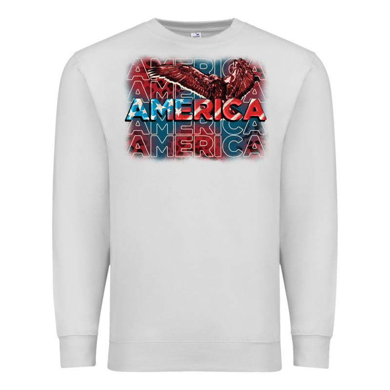 America America America America 4th Of July Premium Sweatshirt by FaDigitalArtStudio | Teevron