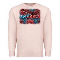 Pale Pink America america america america 4th of july Premium Sweatshirt - FaDigitalArtStudio
