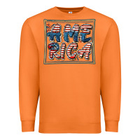 Carrot America Premium Sweatshirt - FaDigitalArtStudio