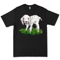 Black Baby Angora Goat Premium Tee - LillyAllenDesigns