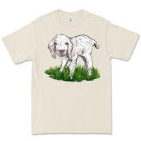 Bone Baby Angora Goat Premium Tee - LillyAllenDesigns