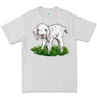 Dove Grey Baby Angora Goat Premium Tee - LillyAllenDesigns