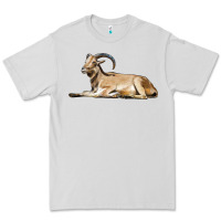 Dove Grey Spanish Goat Premium Tee - LillyAllenDesigns