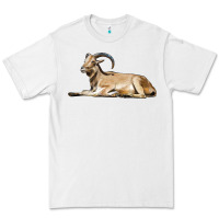 White Spanish Goat Premium Tee - LillyAllenDesigns