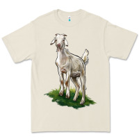 Bone Kiko Goat Premium Tee - LillyAllenDesigns