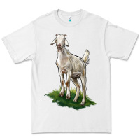 White Kiko Goat Premium Tee - LillyAllenDesigns