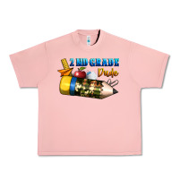 Salmon 2 nd grade dude Urban Heavy Tee - BundleAndBundleShop