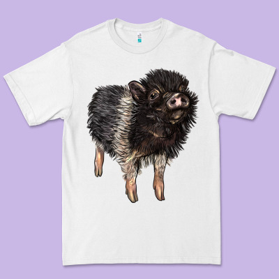 Baby Hampshire Pig Premium Tee Designed By Lillyallendesigns