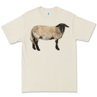 Bone Suffolk Sheep Premium Tee - LillyAllenDesigns