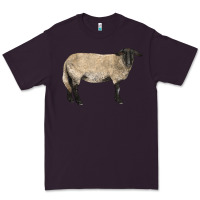 Plum Suffolk Sheep Premium Tee - LillyAllenDesigns
