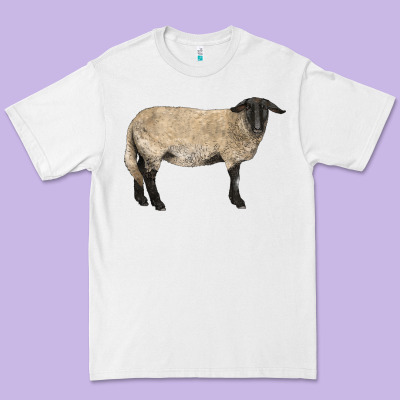 Suffolk Sheep Premium Tee Designed By Lillyallendesigns