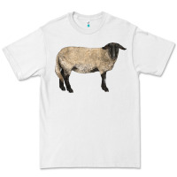 White Suffolk Sheep Premium Tee - LillyAllenDesigns