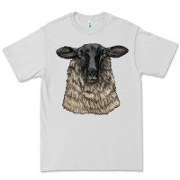 Dove Grey Suffolk Sheep Head Premium Tee - LillyAllenDesigns