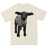 Bone suffolk baby sheep Premium Tee - LillyAllenDesigns