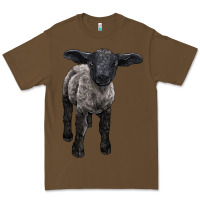 Cacao suffolk baby sheep Premium Tee - LillyAllenDesigns