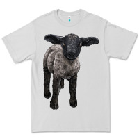 Dove Grey suffolk baby sheep Premium Tee - LillyAllenDesigns