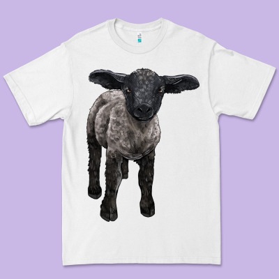Suffolk Baby Sheep Premium Tee Designed By Lillyallendesigns