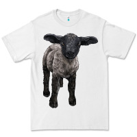 White suffolk baby sheep Premium Tee - LillyAllenDesigns