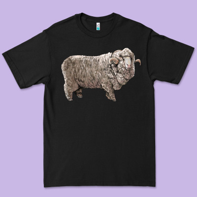 Rambouillet Sheep Premium Tee Designed By Lillyallendesigns