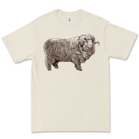 Bone rambouillet sheep Premium Tee - LillyAllenDesigns