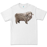 White rambouillet sheep Premium Tee - LillyAllenDesigns