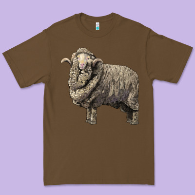 Merino Wool Sheep Premium Tee Designed By Lillyallendesigns