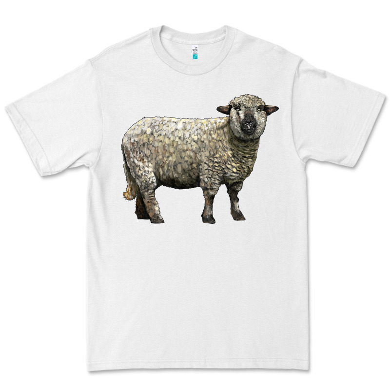 Hampshire Sheep Premium Tee by LillyAllenDesigns | Teevron