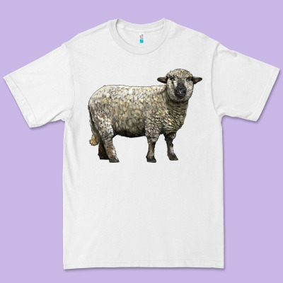 Hampshire Sheep Premium Tee Designed By Lillyallendesigns