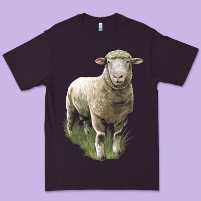 Dorset Sheep Premium Tee Designed By Lillyallendesigns