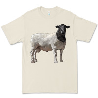 Bone dorper sheep Premium Tee - LillyAllenDesigns