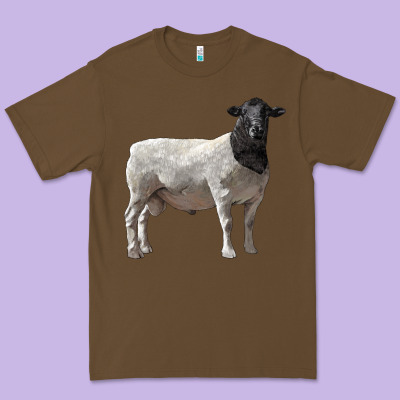 Dorper Sheep Premium Tee Designed By Lillyallendesigns