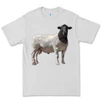 Dove Grey dorper sheep Premium Tee - LillyAllenDesigns