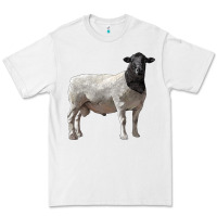 White dorper sheep Premium Tee - LillyAllenDesigns