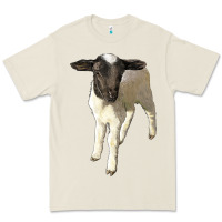 Bone dorper baby sheep Premium Tee - LillyAllenDesigns