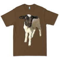 Cacao dorper baby sheep Premium Tee - LillyAllenDesigns