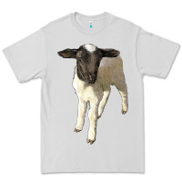 Dove Grey dorper baby sheep Premium Tee - LillyAllenDesigns